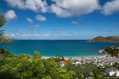 Acai & Art Estate · 3