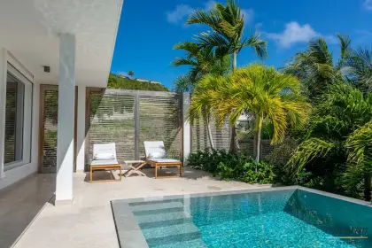 Villa Palm · 4